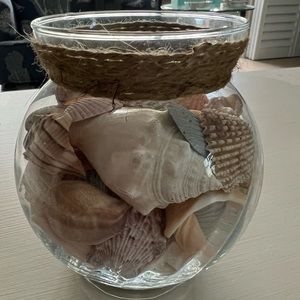 Glass Seashell Vase